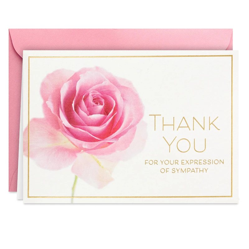 Pink Rose Boxed Blank Sympathy Thank-You Notes, Pack of 10 for only USD 10.49 | Hallmark