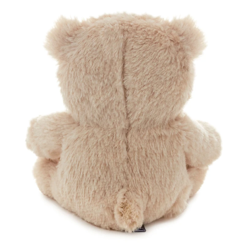 Bear Plush Gift Card Holder for only USD 8.99 | Hallmark