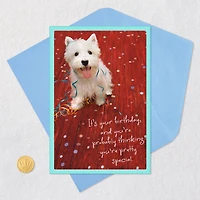 You're Pretty Special Birthday Card for only USD 0.99 | Hallmark