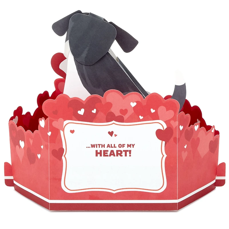 Dog With Heart Musical 3D Pop-Up Love Card With Motion for only USD 11.99 | Hallmark