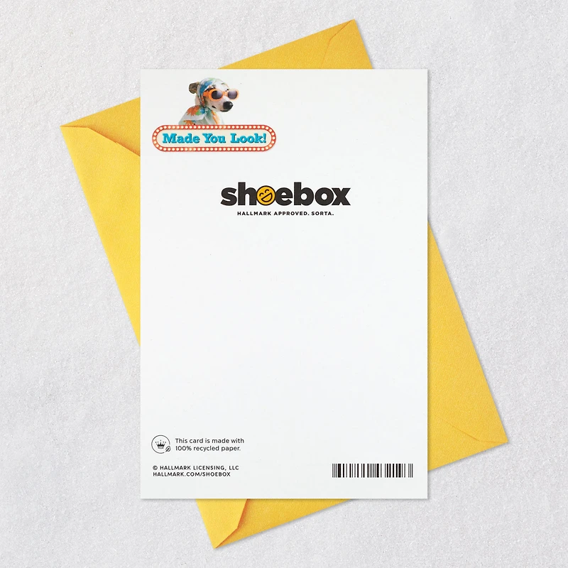 A Sun-in-Your-Face Kind of Day Funny Birthday Card for only USD 3.99 | Hallmark