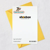 A Sun-in-Your-Face Kind of Day Funny Birthday Card for only USD 3.99 | Hallmark