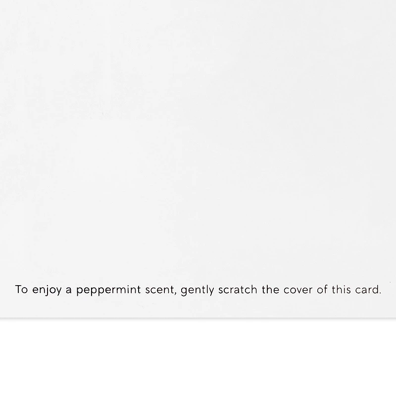 Candy Canes on Pink Scented Boxed Christmas Cards, Pack of 12 for only USD 20.49 | Hallmark