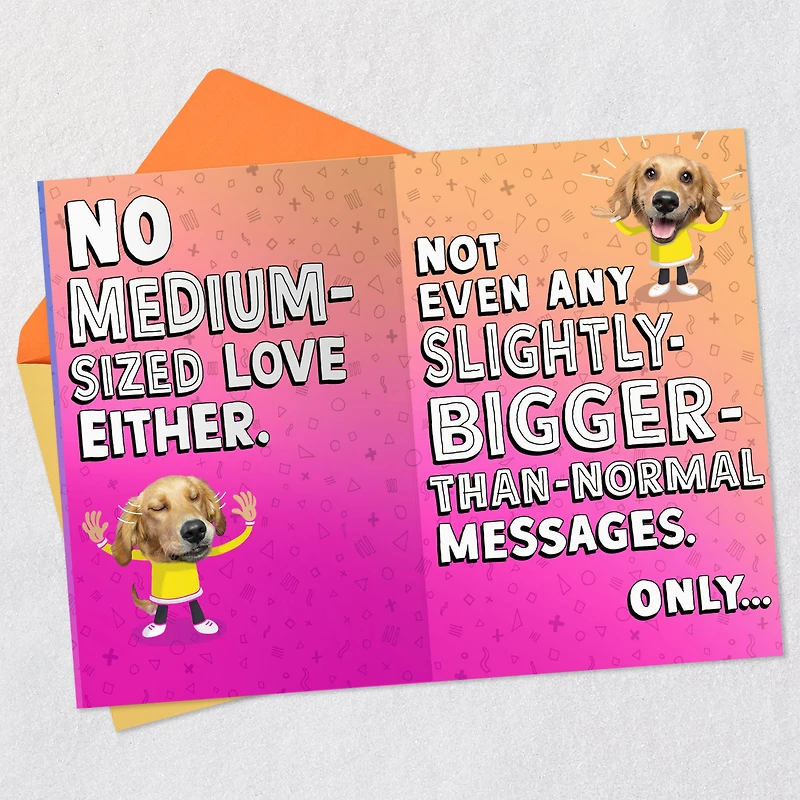 Silly Dog Funny Pop-Up Birthday Card for only USD 4.99 | Hallmark