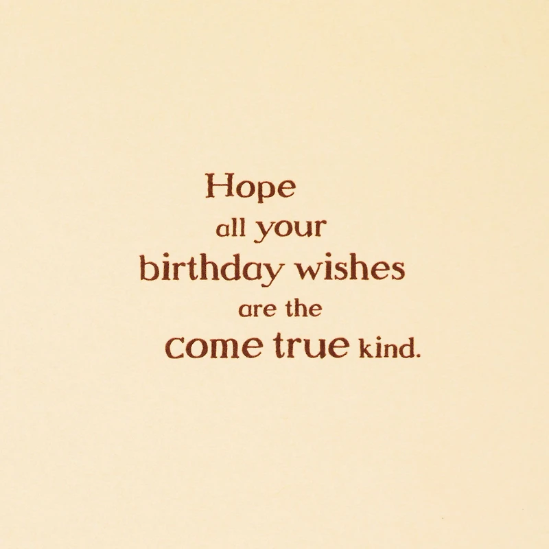 Disney Winnie the Pooh Hope Your Wishes Come True Birthday Card for only USD 3.99 | Hallmark