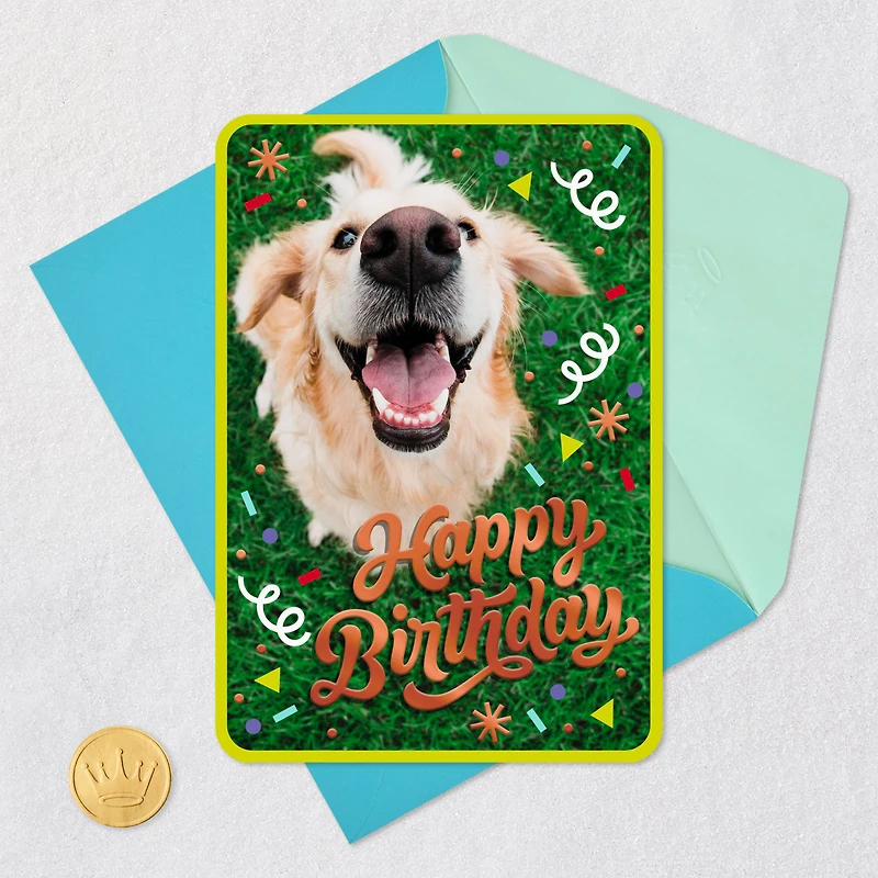 Doggone Happiness Birthday Card for only USD 2.99 | Hallmark