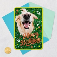 Doggone Happiness Birthday Card for only USD 2.99 | Hallmark
