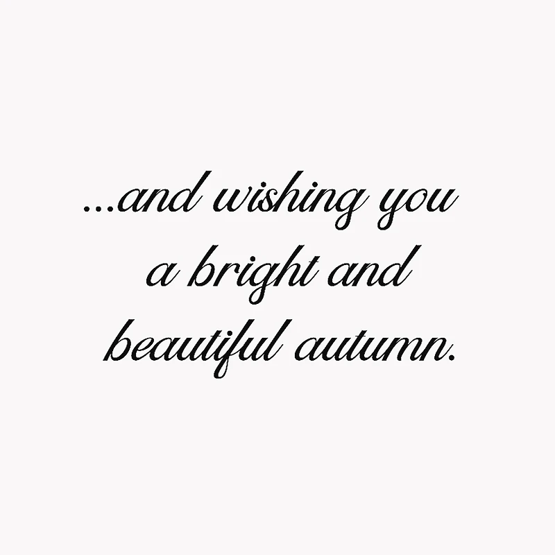 Autumn Pumpkins and Leaves Thinking of You Cards, Pack of 6 for only USD 4.99 | Hallmark