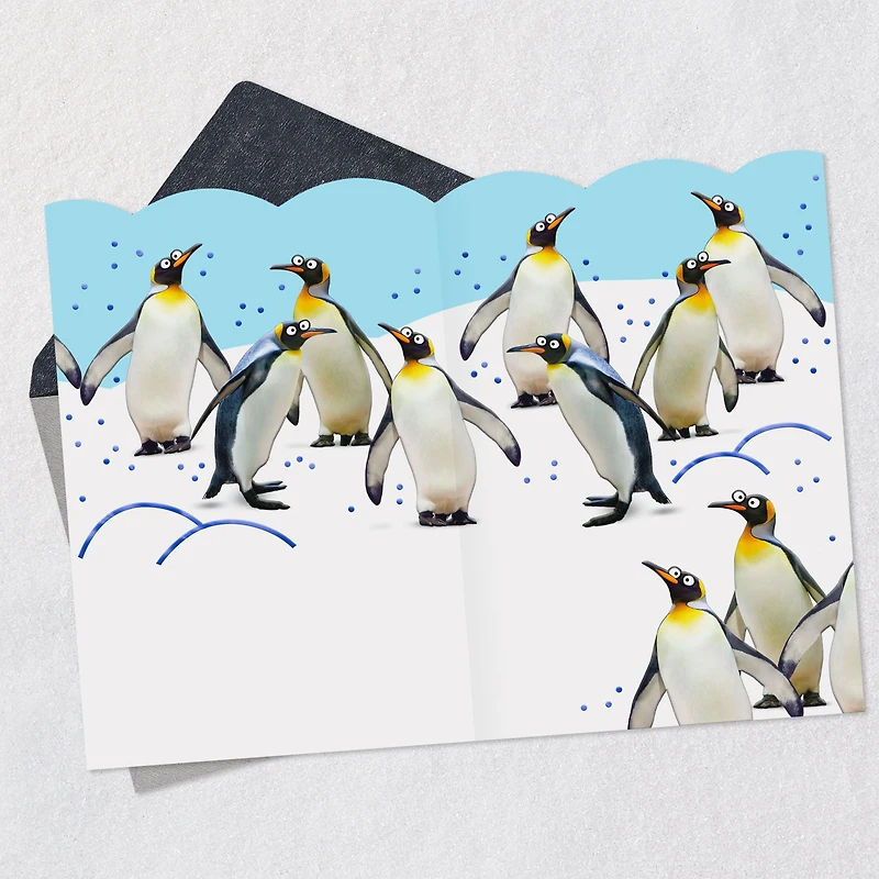 You Make This Place Cool Funny Boss's Day Card From All for only USD 4.59 | Hallmark