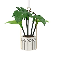 Hanging Houseplant Hallmark Ornament for only USD 14.99 | Hallmark