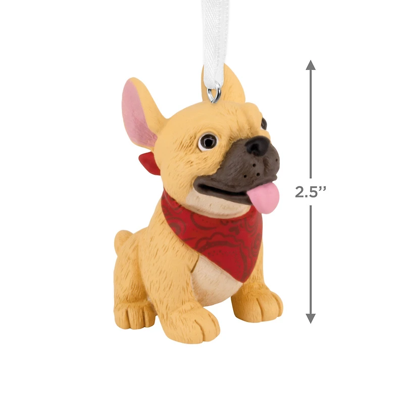 French Bulldog Hallmark Ornament for only USD 14.99 | Hallmark