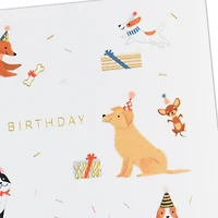Party Pups Birthday Card for only USD 5.99 | Hallmark