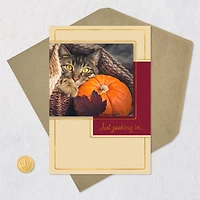 Just Peeking In Cat and Pumpkin Thanksgiving Card for only USD 0.99 | Hallmark