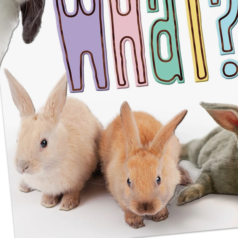 Bunny Butt Funny Easter Card for only USD 3.99 | Hallmark