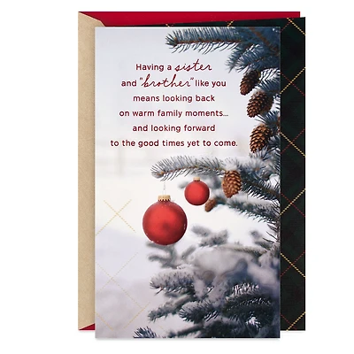 You Are Special Christmas Card for Sister and Brother-in-Law for only USD 4.59 | Hallmark
