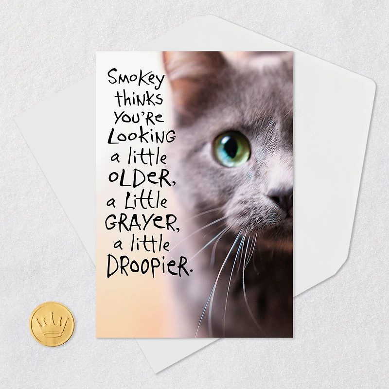 Pessimistic Cat Funny Birthday Card for only USD 3.99 | Hallmark