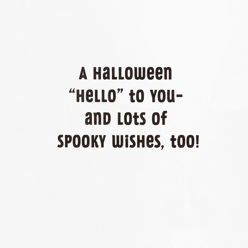 Checkerboard Ghosts and Black Cats Halloween Cards, Pack of 6 for only USD 4.99 | Hallmark