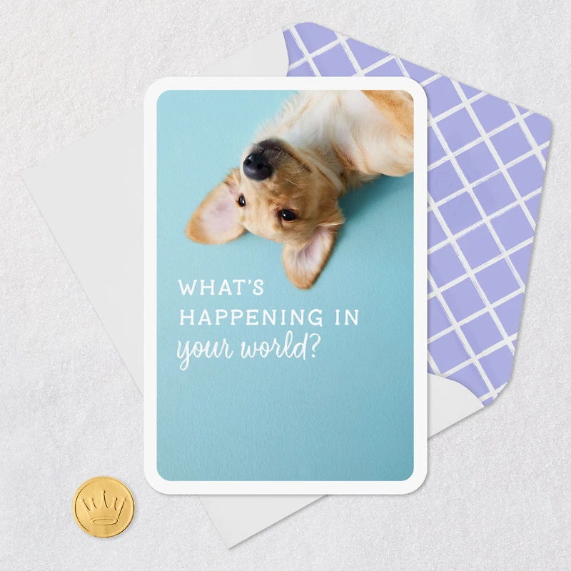 What's Happening in Your World Blank Card for only USD 2.99 | Hallmark