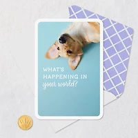 What's Happening in Your World Blank Card for only USD 2.99 | Hallmark