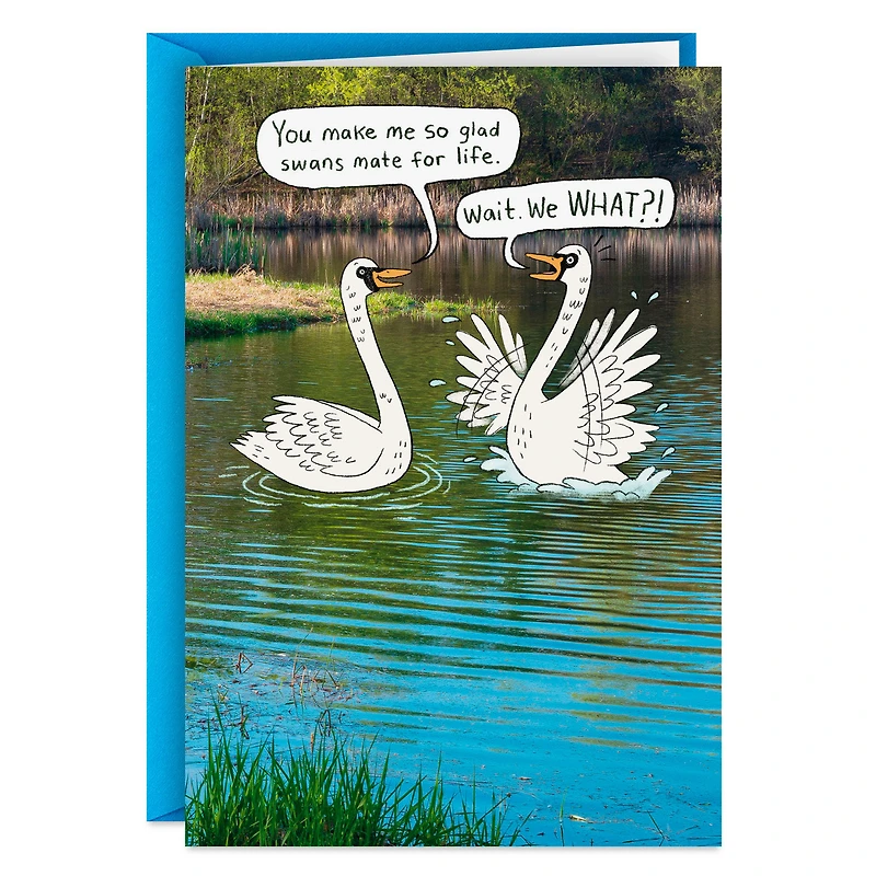 Mate for Life, Swans Funny Anniversary Card for Spouse for only USD 4.49 | Hallmark
