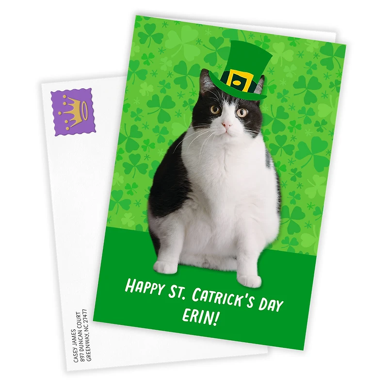 Leprechaun Cat Custom St. Patrick’s Day Card for only USD 4.99 | Hallmark