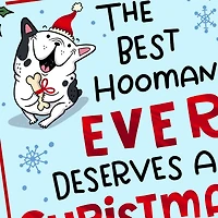 Best Hooman Ever Funny Christmas Card From Dog for only USD 2.99 | Hallmark