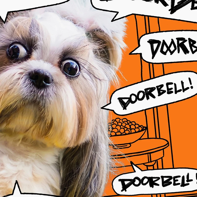 Dog and Doorbell Frenzy Funny Halloween Card for only USD 3.69 | Hallmark