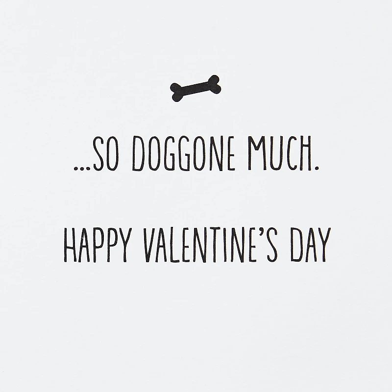 Love You So Doggone Much Valentine's Day Card for only USD 8.59 | Hallmark