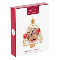 My Fur-st Christmas 2025 Photo Frame Ornament for only USD 19.99 | Hallmark