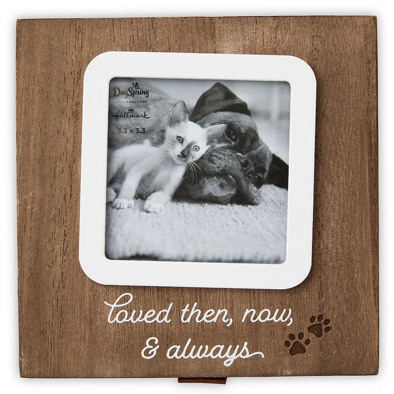 Then, Now and Always Pet Memory Box for only USD 28.99 | Hallmark