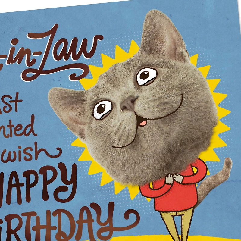 Glad Our Family Hasn't Changed You Funny Birthday Card for Son-in-Law for only USD 2.99 | Hallmark