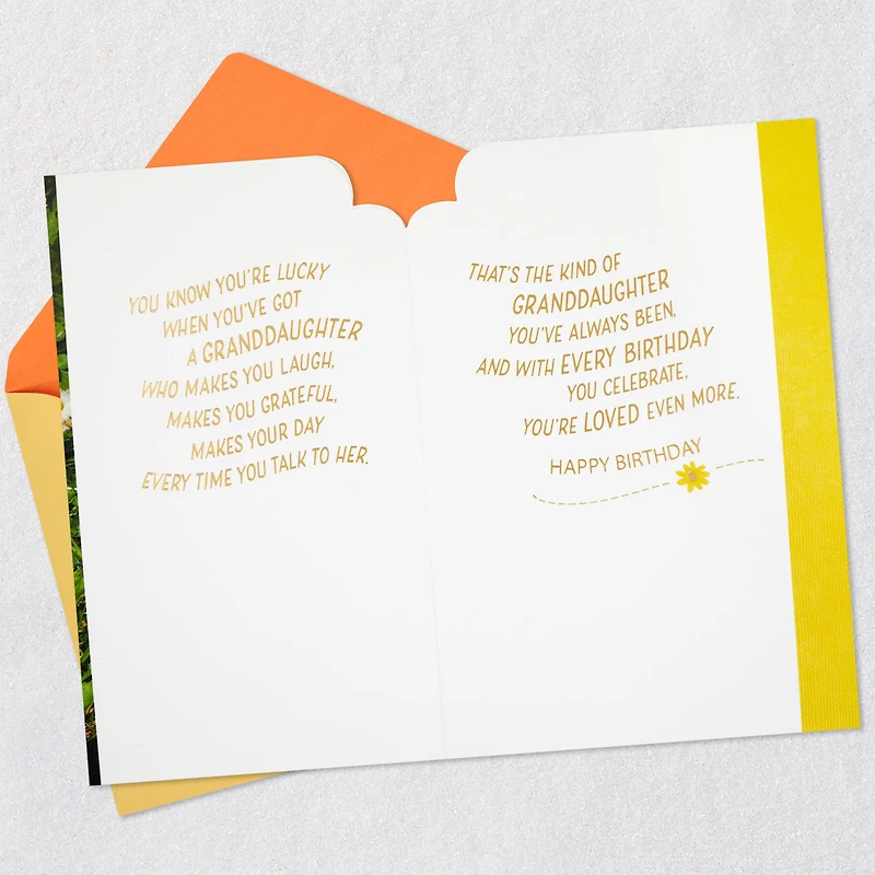 Lucky to Love You Birthday Card for Granddaughter for only USD 4.99 | Hallmark