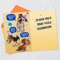 Wishing You a Treat-Filled Celebration Funny Birthday Card for only USD 4.59 | Hallmark