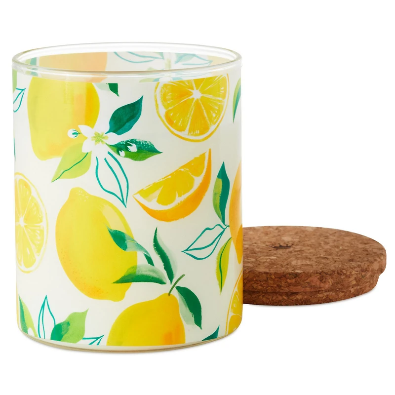 Meyer Lemon and Lemon Zest Scented 2-Wick Jar Candle, 14.5 oz. for only USD 19.99 | Hallmark