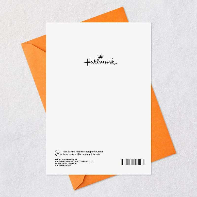 Top Secret Folder Funny Birthday Card for only USD 2.99 | Hallmark