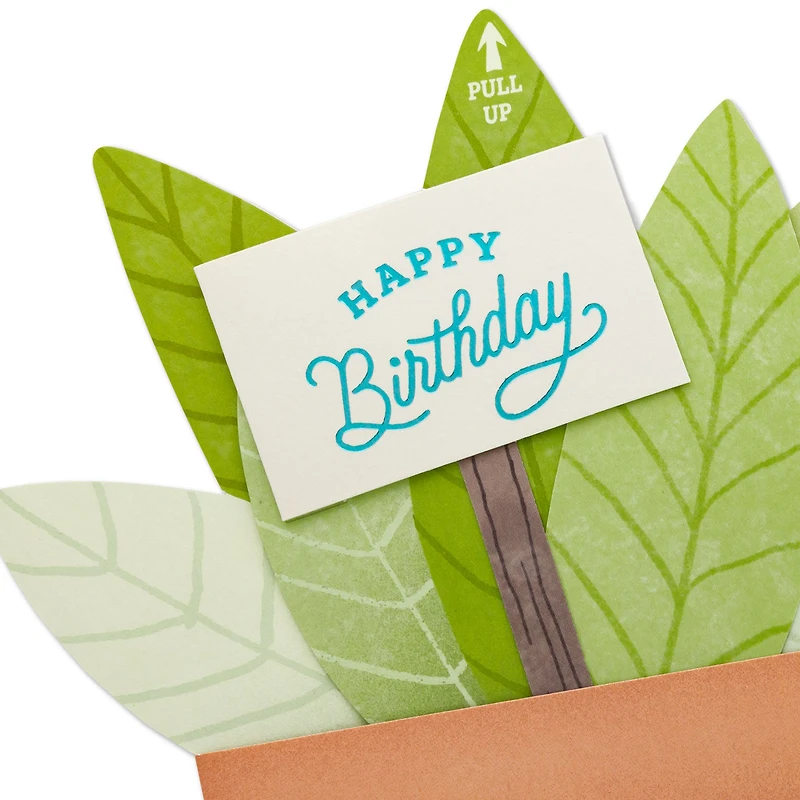 Potted Plant Papercraft Birthday Card with Mini Card for only USD 5.99 | Hallmark
