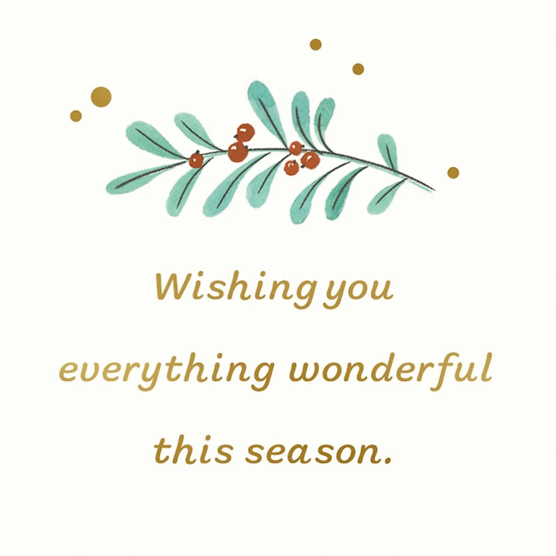 Wonder and Joy Money Holder Holiday Card for only USD 2.99 | Hallmark