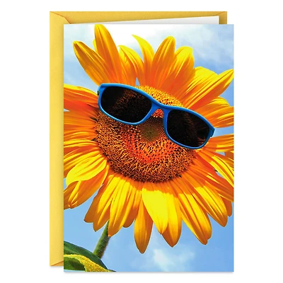 Sunflower in Sunglasses Thinking of You Card for only USD 3.99 | Hallmark