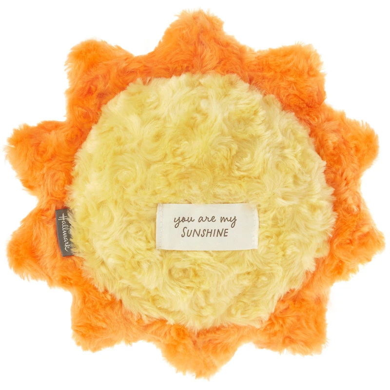 Sunshine Recordable Plush, 10" for only USD 29.99 | Hallmark