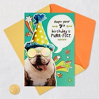 Bulldog in Party Hat Funny 9th Birthday Card With Decal for only USD 3.99 | Hallmark