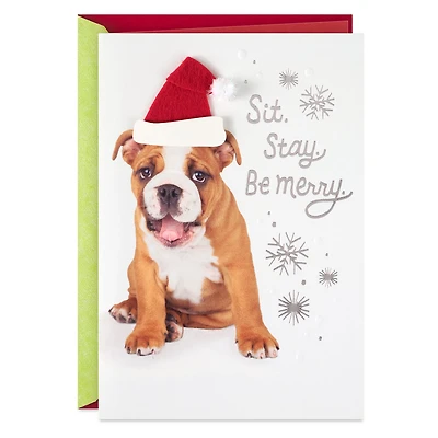 Happy From Head to Tail, Dog Christmas Card for only USD 6.99 | Hallmark