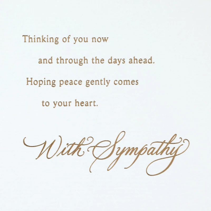 Wishing You Comfort and Peace Sympathy Card for only USD 5.59 | Hallmark
