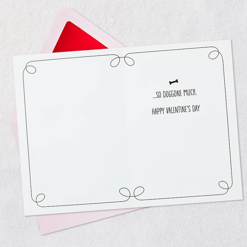 Love You So Doggone Much Valentine's Day Card for only USD 8.59 | Hallmark