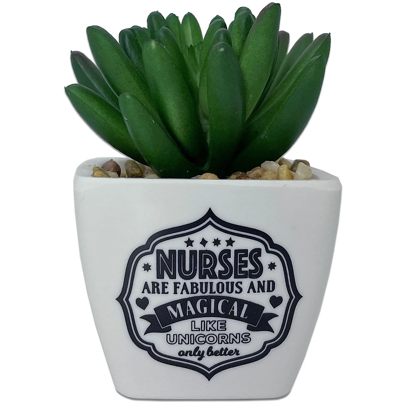 Faux Potted Succulent With Nurse Message for only USD 9.99 | Hallmark