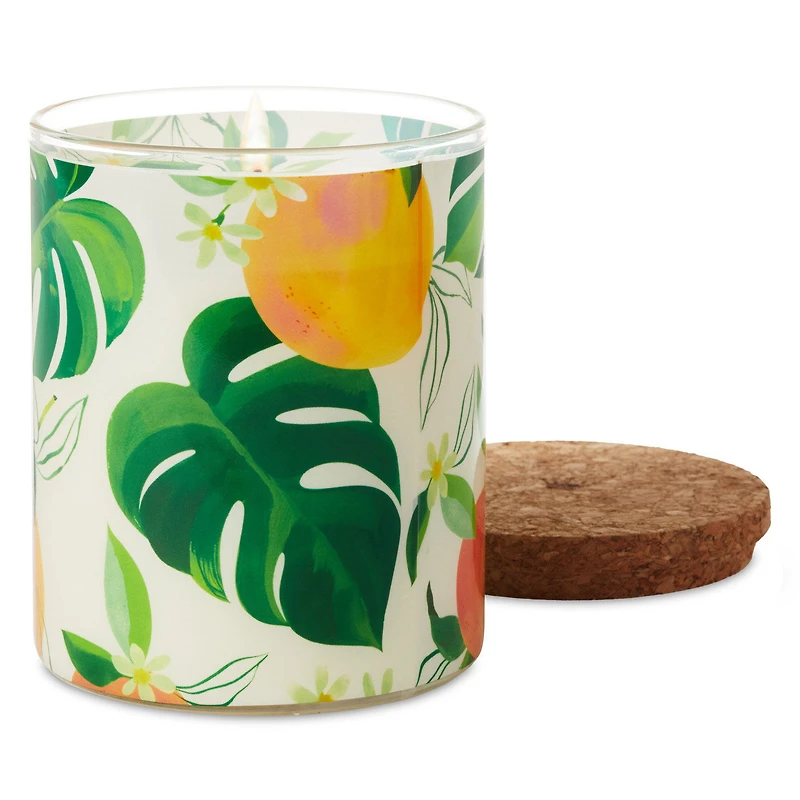 Mandarin Orange and Grapefruit Scented 2-Wick Jar Candle, 14.5 oz. for only USD 19.99 | Hallmark