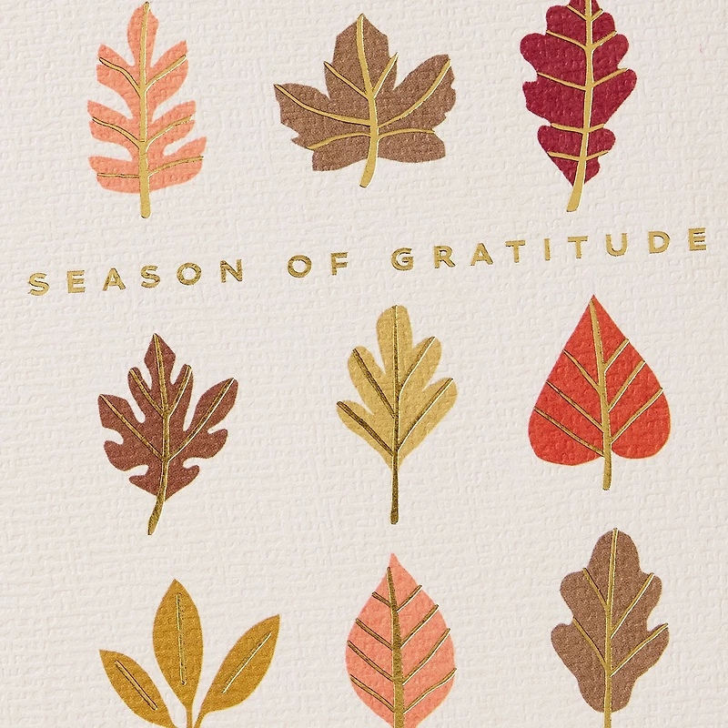 Season of Gratitude Thanksgiving Card for only USD 5.99 | Hallmark
