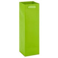 13" Lime Green Wine Gift Bag for only USD 3.49 | Hallmark