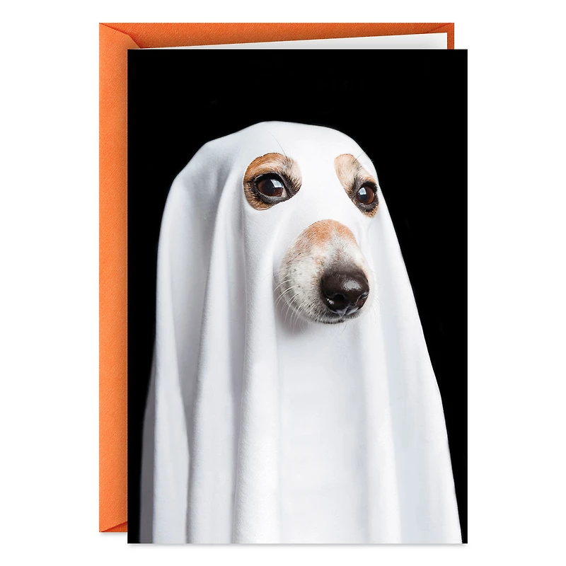 Things That Go Bark in the Night Funny Halloween Card for only USD 2.00 | Hallmark