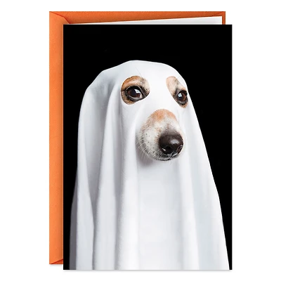 Things That Go Bark in the Night Funny Halloween Card for only USD 2.00 | Hallmark