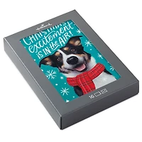 Christmas Excitement Boxed Christmas Cards, Pack of 16 for only USD 9.99 | Hallmark